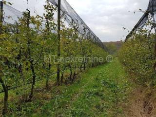 Obiteljsko gospodarstvo, Prodaja, Rovišće, Kovačevac