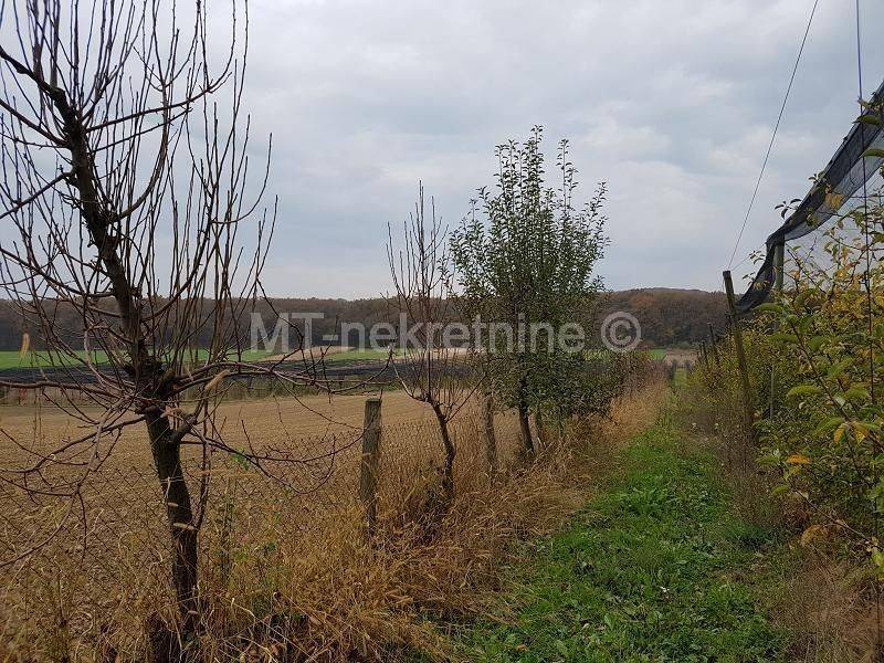 Obiteljsko gospodarstvo, Prodaja, Rovišće, Kovačevac