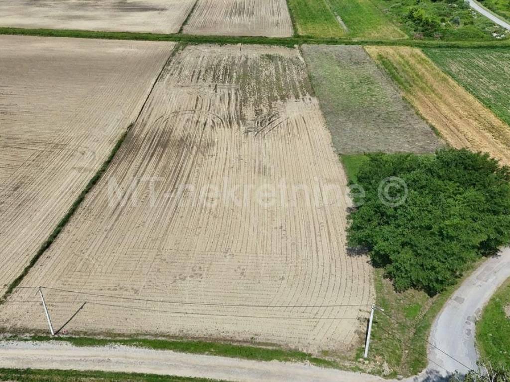 Poljoprivredno zemljište, Prodaja, Bjelovar - Okolica, Gornje Plavnice