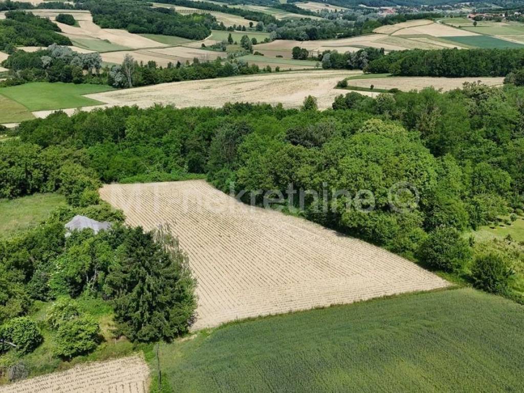 Poljoprivredno zemljište, Prodaja, Bjelovar - Okolica, Gornje Plavnice