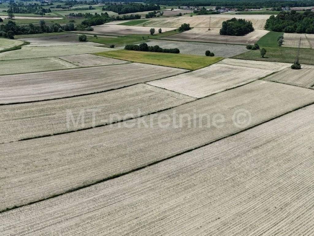 Poljoprivredno zemljište, Prodaja, Bjelovar - Okolica, Gornje Plavnice