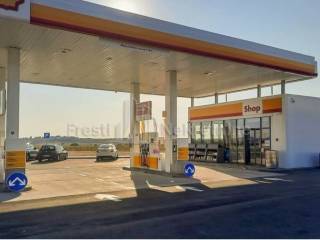 Poljoprivredno zemljište, Prodaja, Zemunik donji, Zemunik Donji
