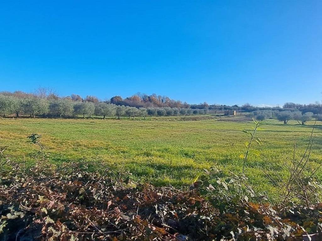 Građevinsko turističko, Prodaja, Tar-Vabriga, Vabriga