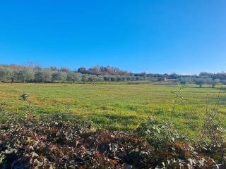 Građevinsko turističko, Prodaja, Tar-Vabriga, Vabriga