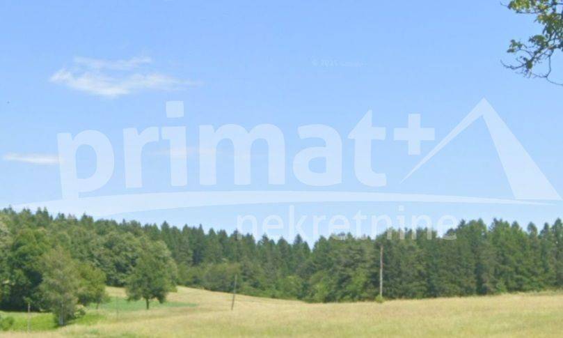 Šuma, Prodaja, Ogulin, Otok Oštarijski