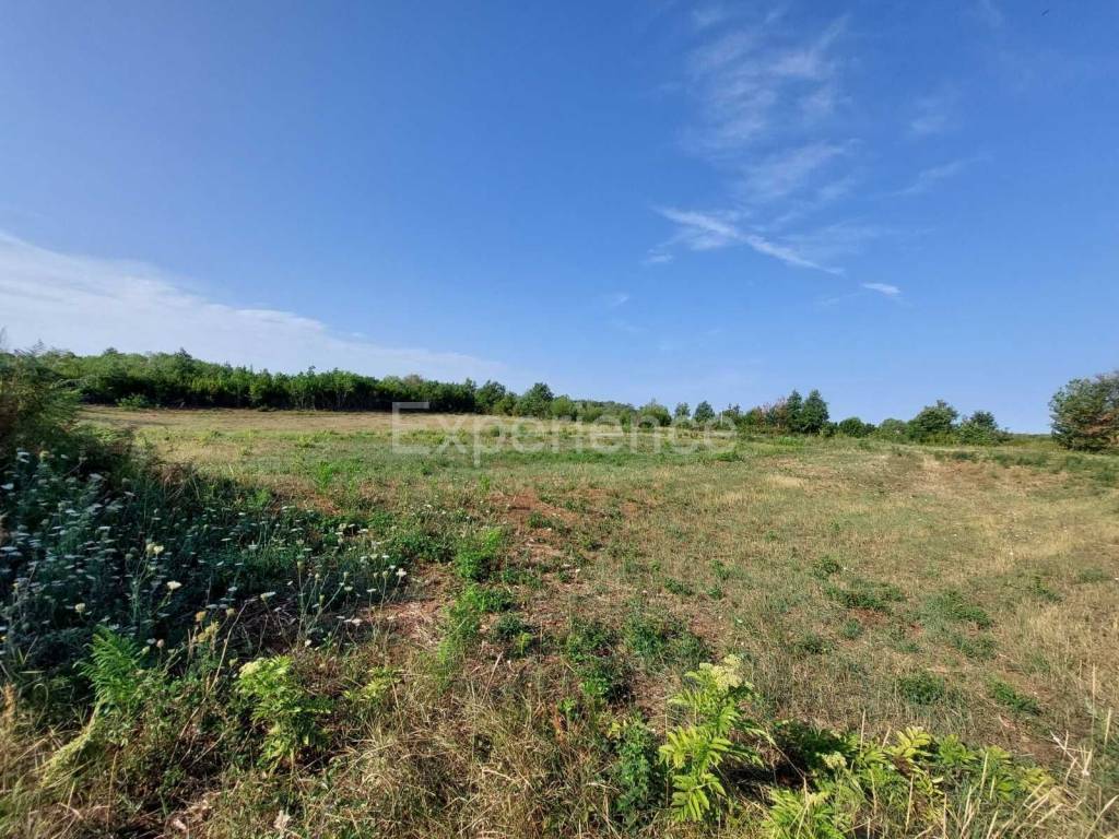 Poljoprivredno zemljište, Prodaja, Kaštelir-Labinci, Kaštelir