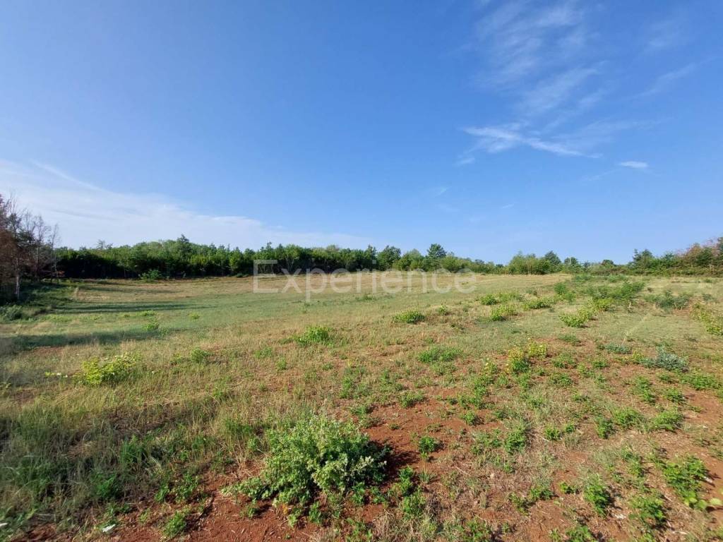 Poljoprivredno zemljište, Prodaja, Kaštelir-Labinci, Kaštelir