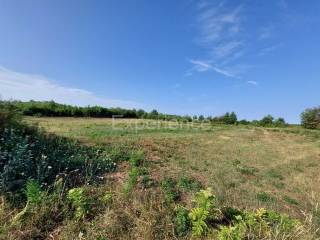 Poljoprivredno zemljište, Prodaja, Kaštelir-Labinci, Kaštelir