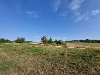 Poljoprivredno zemljište, Prodaja, Kaštelir-Labinci, Kaštelir