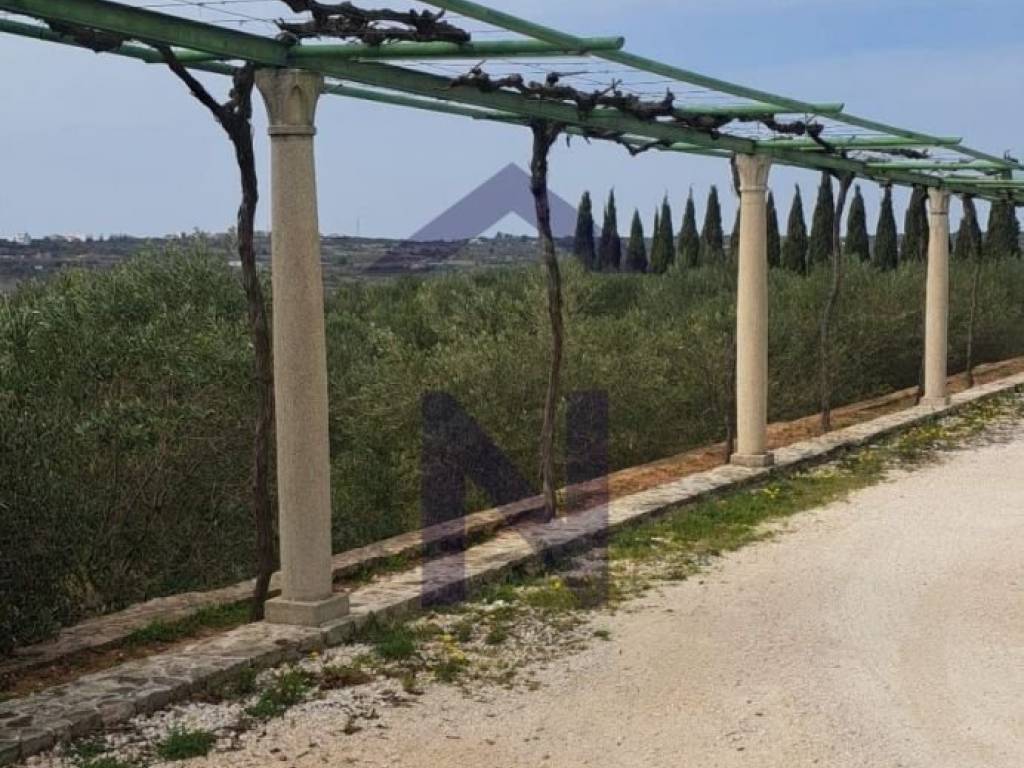 Kuća prizemnica, Prodaja, Zadar, Zadar