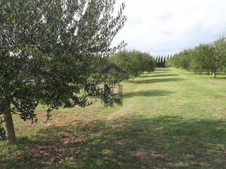 Luksuzna vila, Prodaja, Zadar, Zadar