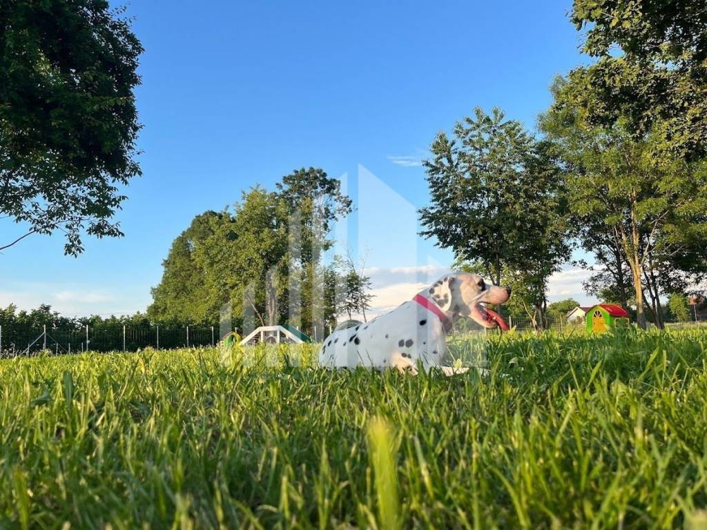 Poljoprivredno zemljište, Prodaja, Zagreb - Okolica, Brezovica