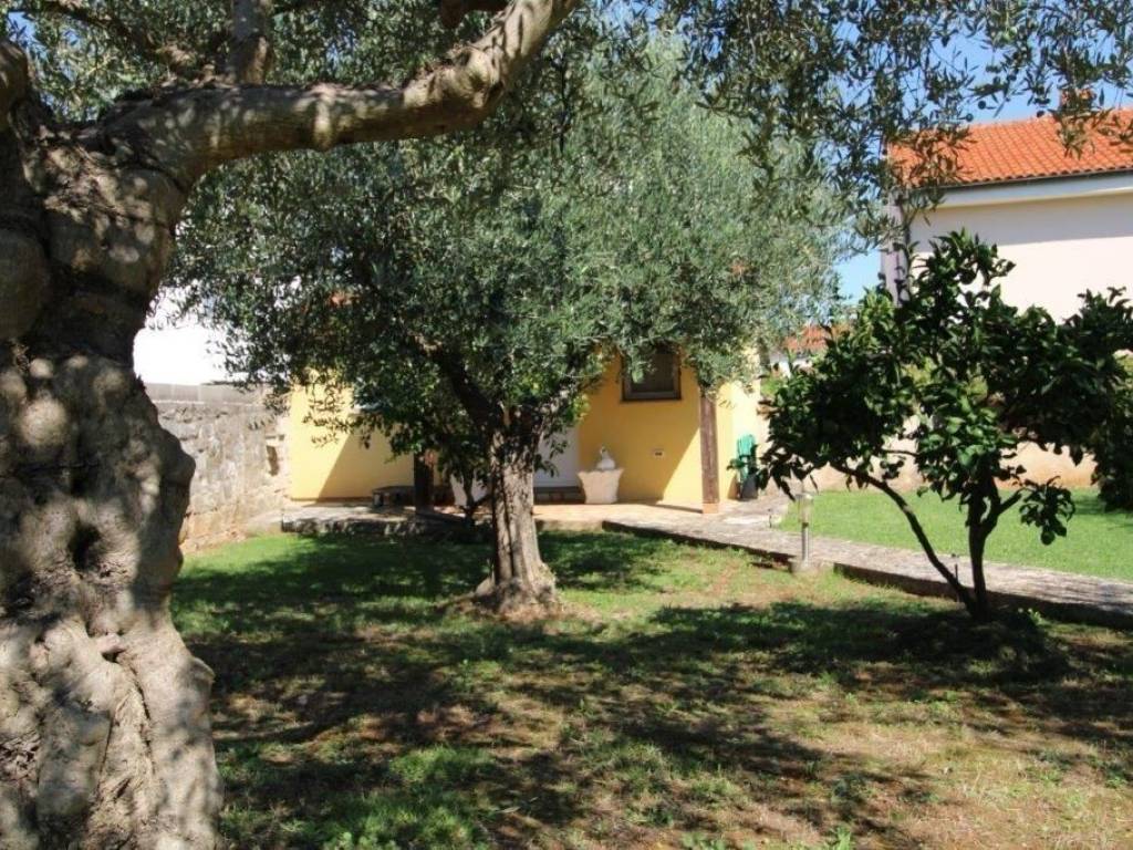 Dvojna kuća, Prodaja, Poreč, Poreč