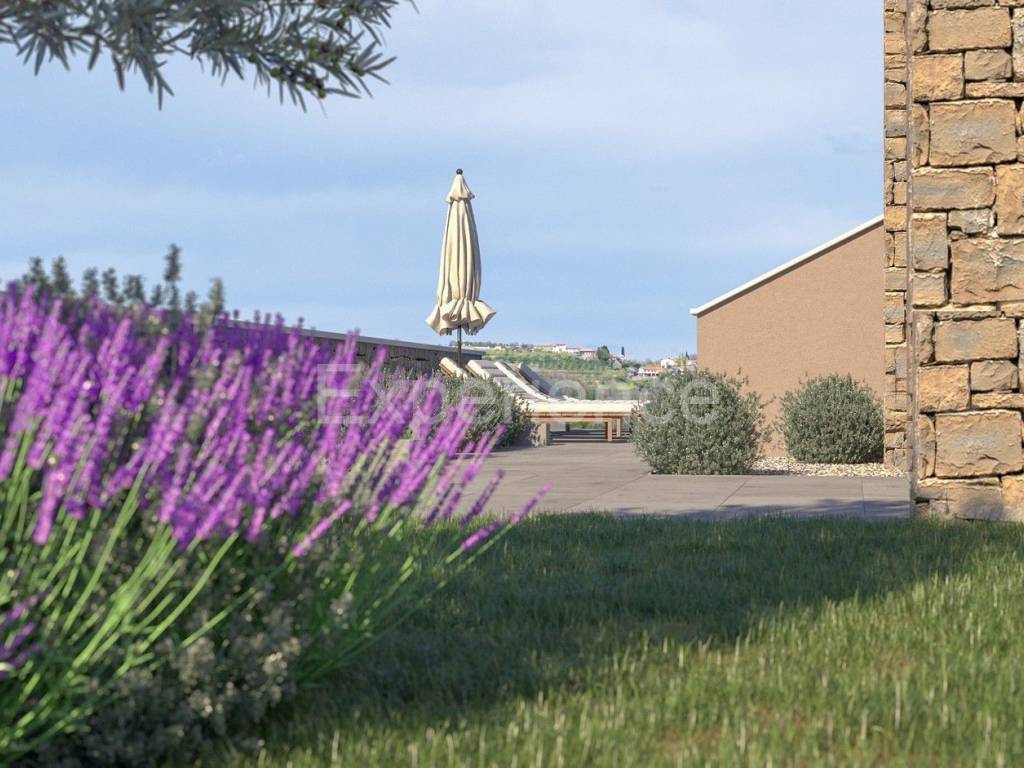 Samostojeća kuća, Prodaja, Buje, Buje