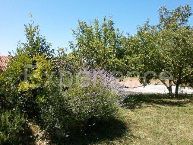 Samostojeća, Prodaja, Vižinada, Vižinada