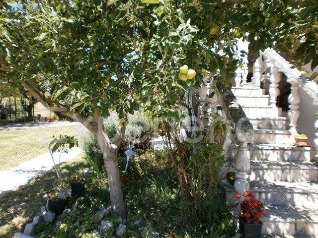 Samostojeća, Prodaja, Vižinada, Vižinada