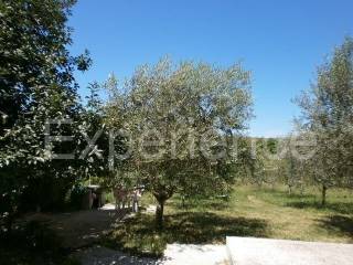 Samostojeća, Prodaja, Vižinada, Vižinada