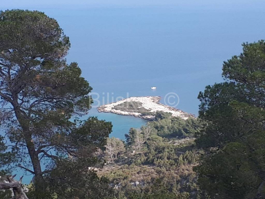 Poljoprivredno zemljište, Prodaja, Jelsa, Jelsa