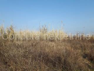 Poljoprivredno zemljište, Prodaja, Privlaka, Privlaka