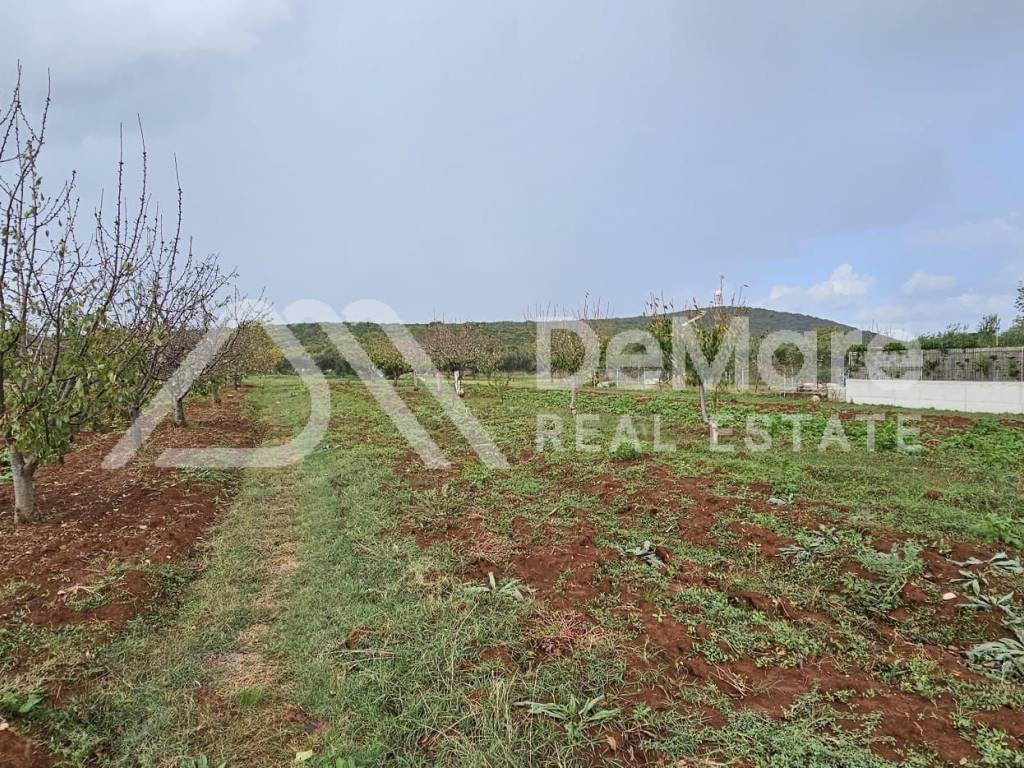 Gradjevinsko zemljiste, Prodaja, Sukosan, Debeljak