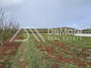 Gradjevinsko zemljiste, Prodaja, Sukosan, Debeljak