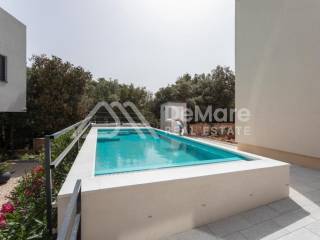 Apartman na moru, Prodaja, Nin, Zaton