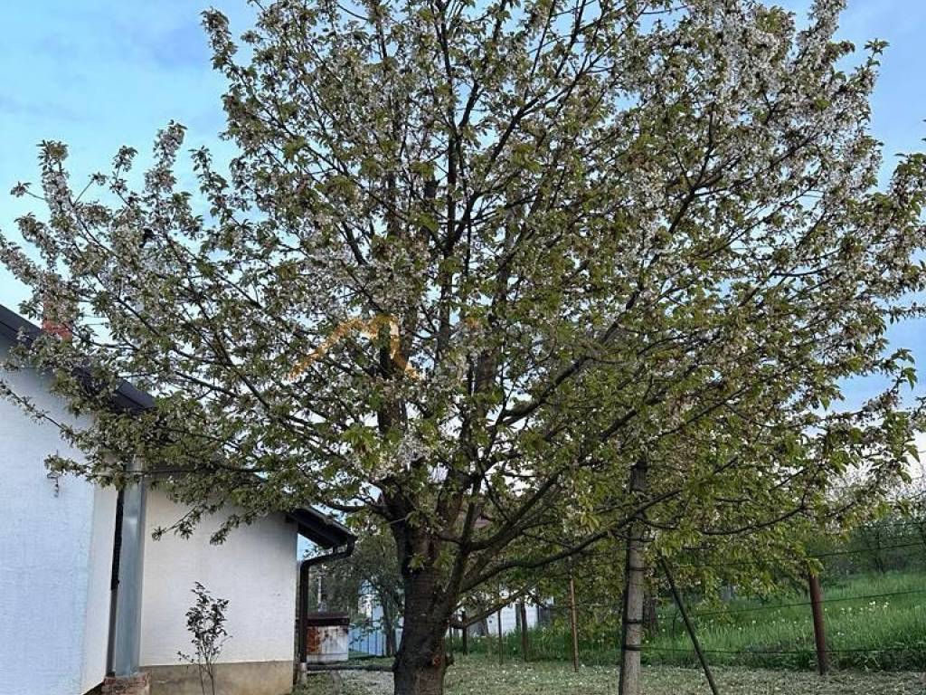 Samostojeca kuca, Prodaja, Brckovljani, Stancic