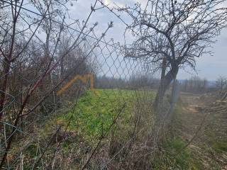 Poljoprivredno zemljiste, Prodaja, Brckovljani, Brckovljani