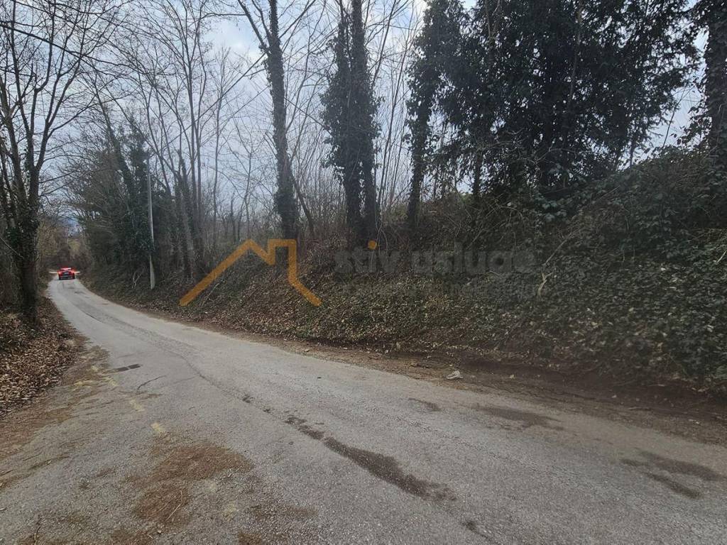Poljoprivredno zemljiste, Prodaja, Brckovljani, Brckovljani