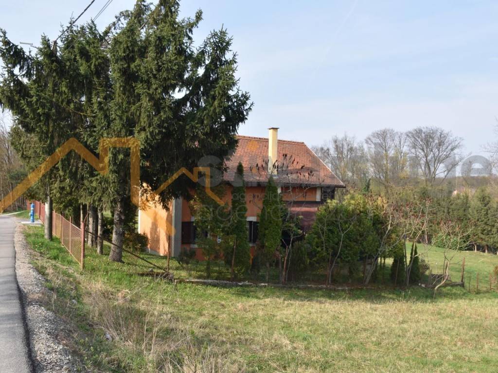 191449722.jpg