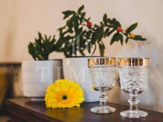 Stambeno poslovni objekt, Prodaja, Knezevi vinogradi, Karanac