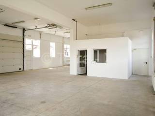 Hala, Zakup, Sveta Nedelja, Oresje