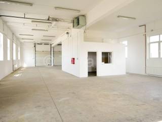 Hala, Zakup, Sveta Nedelja, Oresje