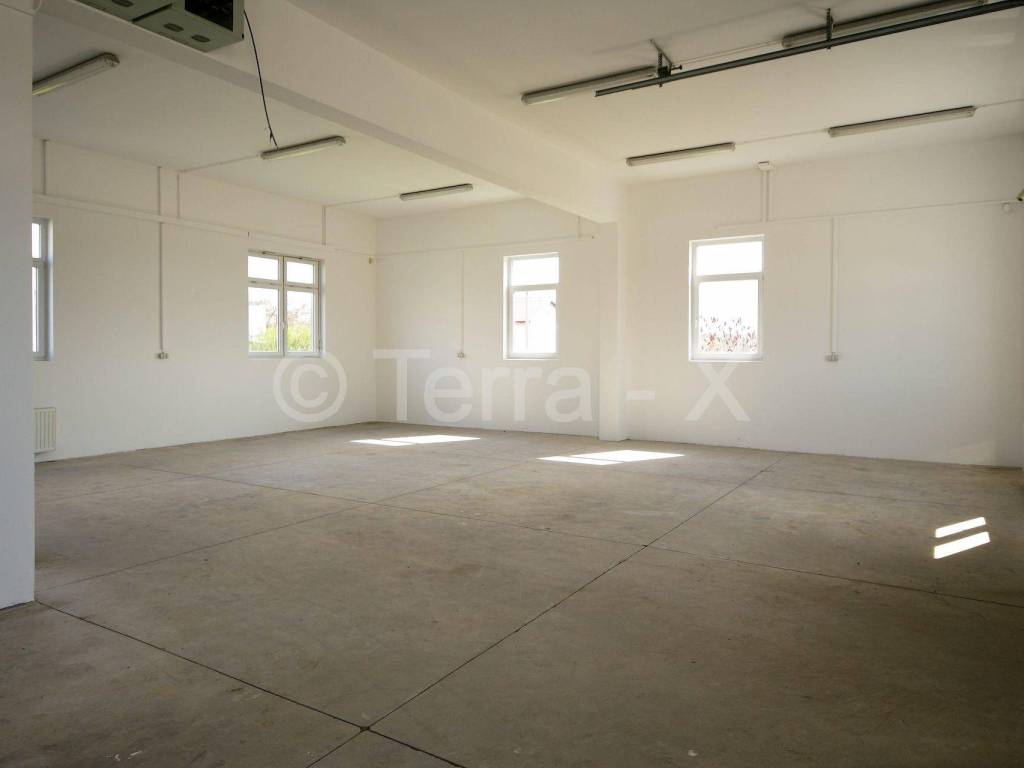 Hala, Zakup, Sveta Nedelja, Oresje