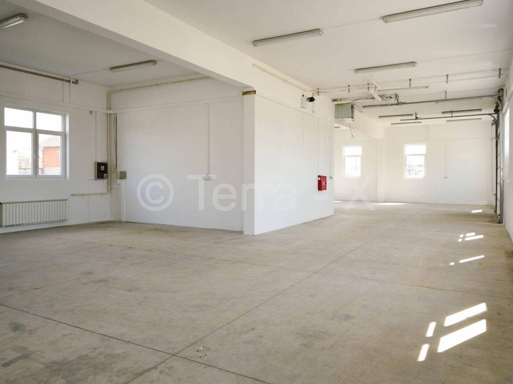 Hala, Zakup, Sveta Nedelja, Oresje