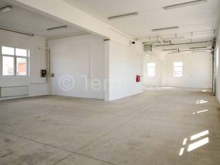 Hala, Zakup, Sveta Nedelja, Oresje