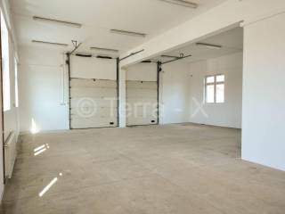 Hala, Zakup, Sveta Nedelja, Oresje