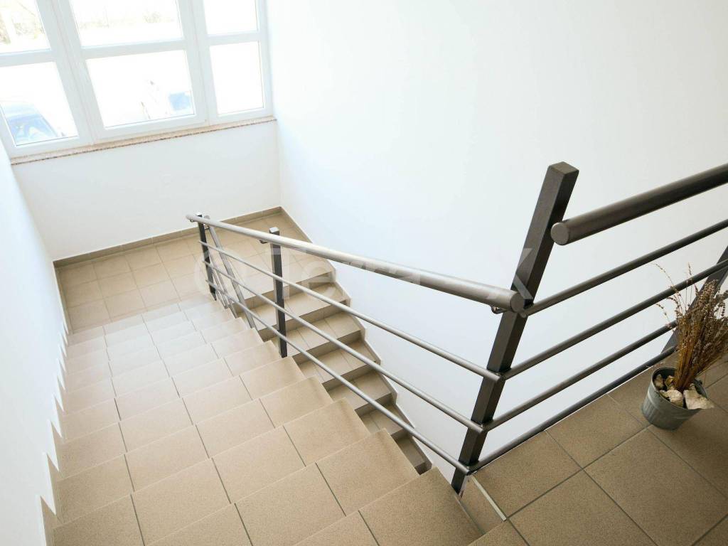 Hala, Zakup, Sveta Nedelja, Oresje