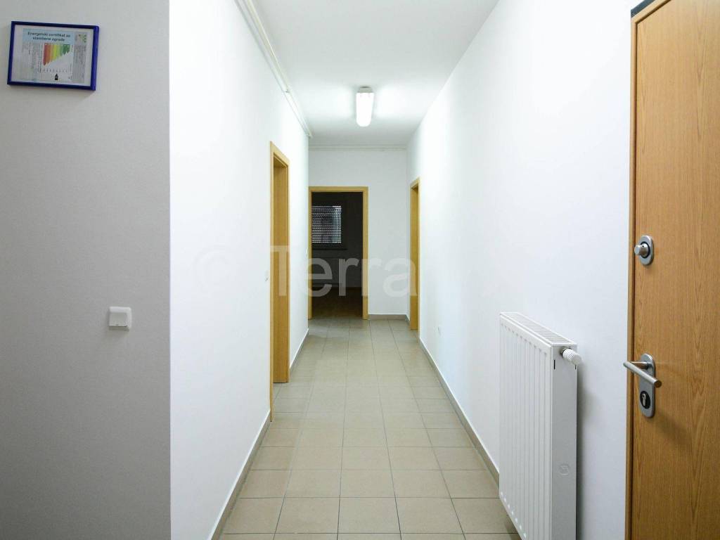 Hala, Zakup, Sveta Nedelja, Oresje