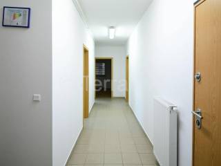 Hala, Zakup, Sveta Nedelja, Oresje