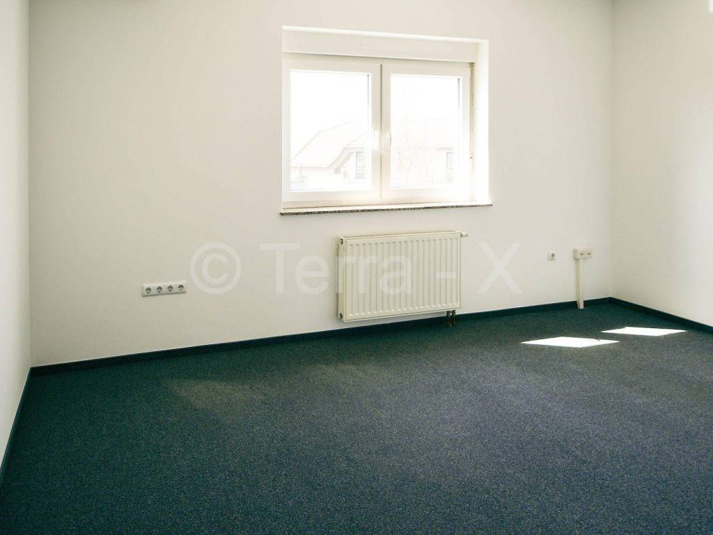 Hala, Zakup, Sveta Nedelja, Oresje