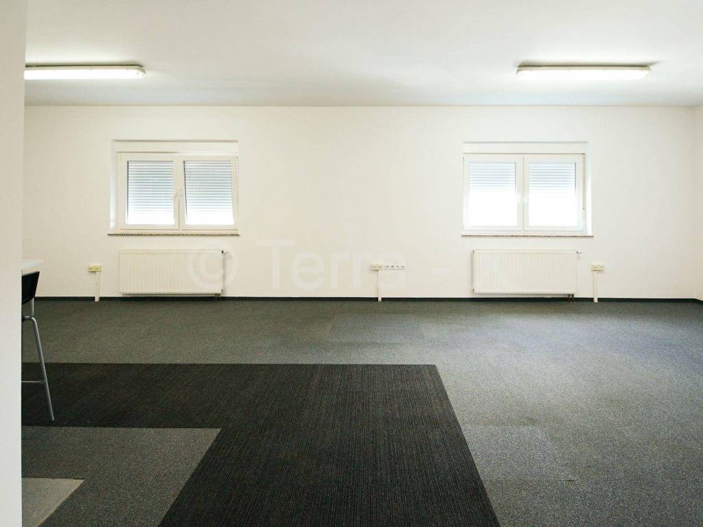 Hala, Zakup, Sveta Nedelja, Oresje