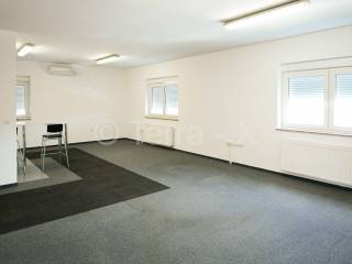 Hala, Zakup, Sveta Nedelja, Oresje