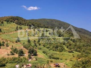 Rakovica, Seliste Dreznicko