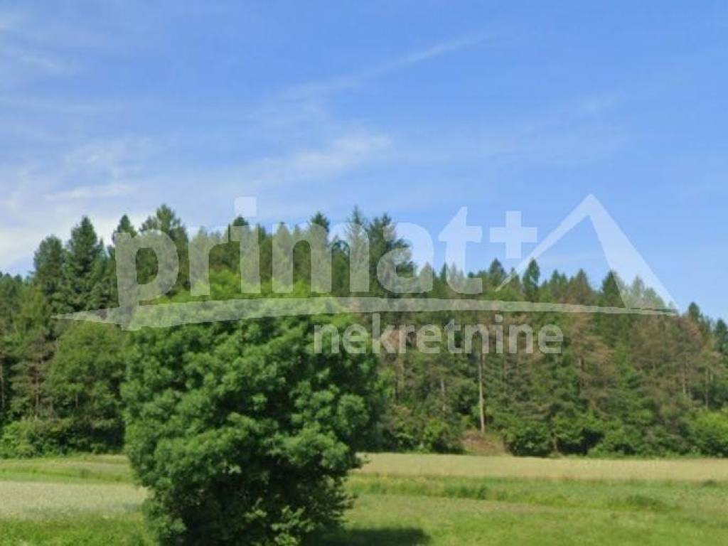 Suma, Prodaja, Ogulin, Otok Ostarijski