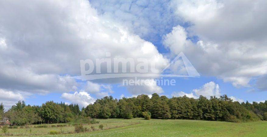 Suma, Prodaja, Ogulin, Otok Ostarijski