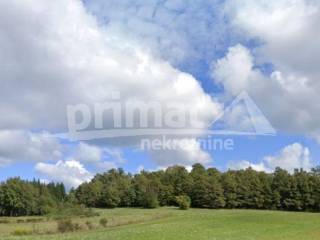 Suma, Prodaja, Ogulin, Otok Ostarijski