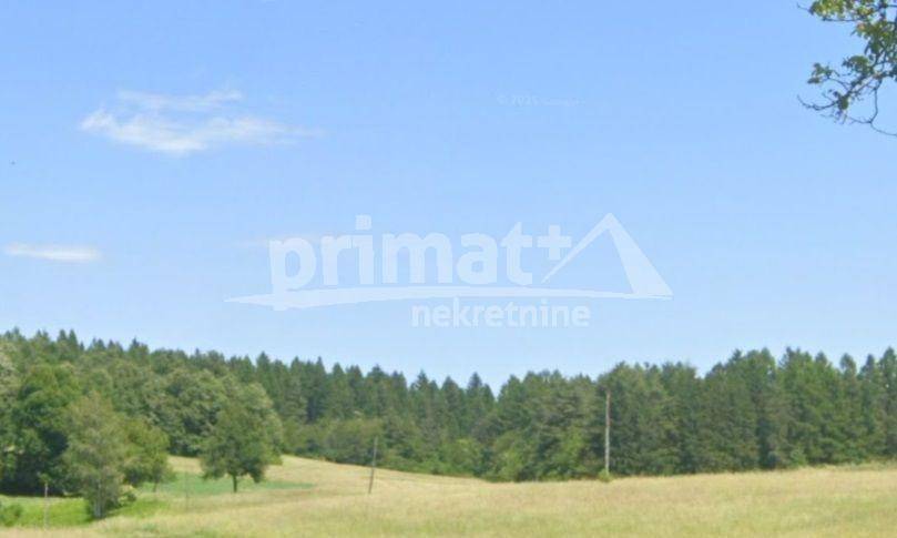 Suma, Prodaja, Ogulin, Otok Ostarijski