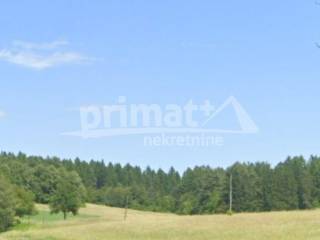 Suma, Prodaja, Ogulin, Otok Ostarijski