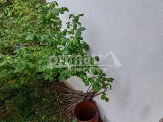 Kuca, Prodaja, Ogulin, Donje Dubrave